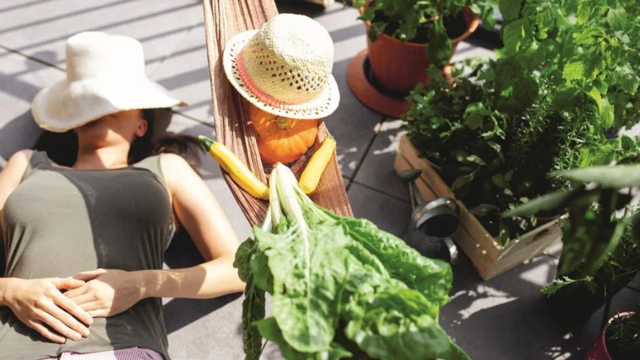 Salat, Beeren, Gemüse: Garten am Balkon