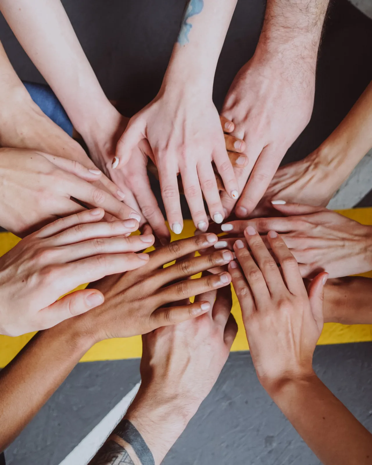 Drei Fragen an die neuen Fachgruppenobmann-Stellvertreter