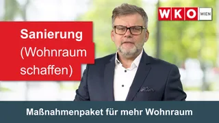 Sanierung (Wohnraum schaffen): Maßnahmenpaket für mehr Wohnraum | IMMY.at Expertenstatement