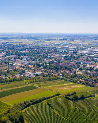 Niederösterreich setzt auf Sanierung