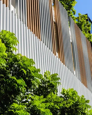 Vertikales Grün für kühlere Gebäude und besseres Stadtklima