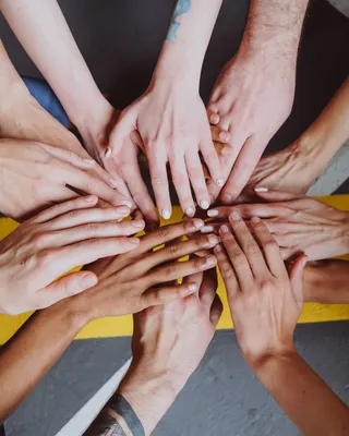 Drei Fragen an die neuen Fachgruppenobmann-Stellvertreter