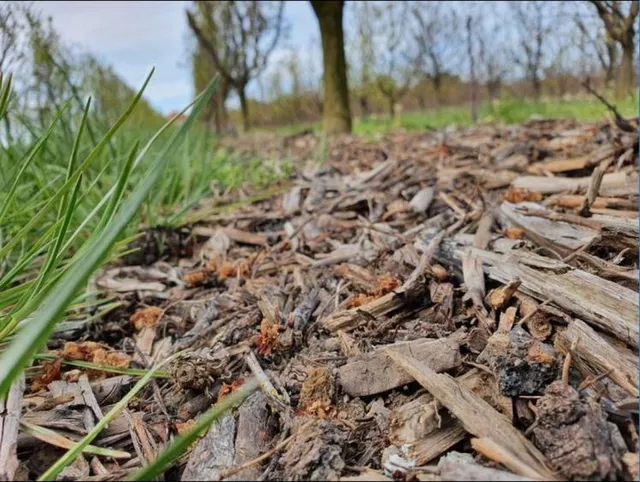 So wird der Garten fit für den Winter