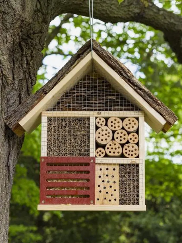 Geflügelte Hotels: Das Wichtigste zum Bau von Insektenhotels